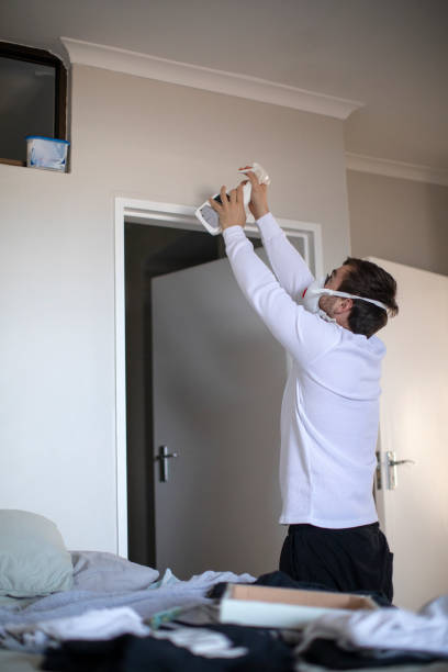 Best Mold Prevention Services  in Johnsburg, IL