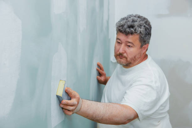 Best Post-Construction Mold Inspection  in Johnsburg, IL