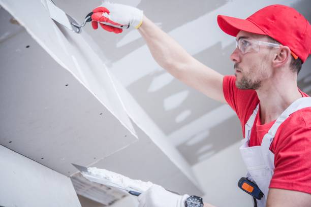 Trusted Johnsburg, IL Mold Removal Experts